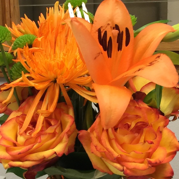 Meet your Posher, Kim - Picture 1 of 1